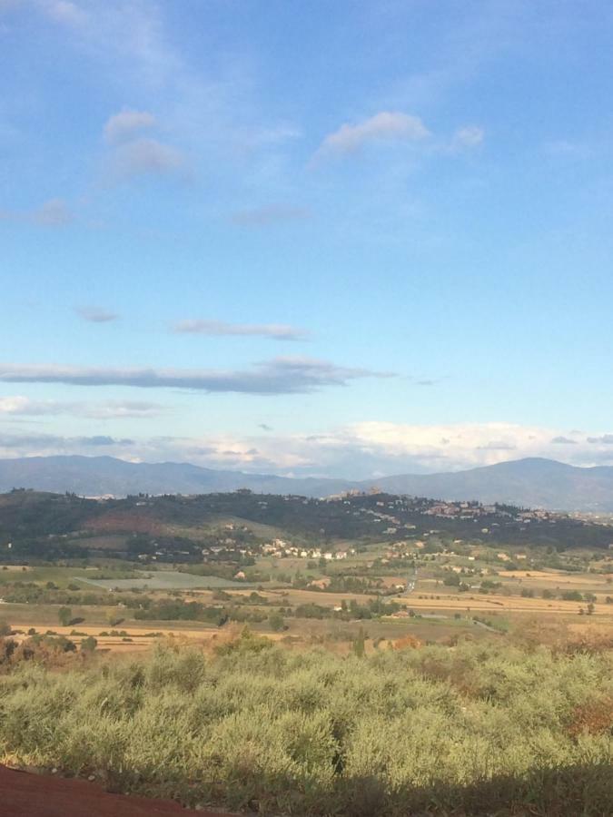 Mansarda Degli Ulivi Apartment Rigomagno ภายนอก รูปภาพ