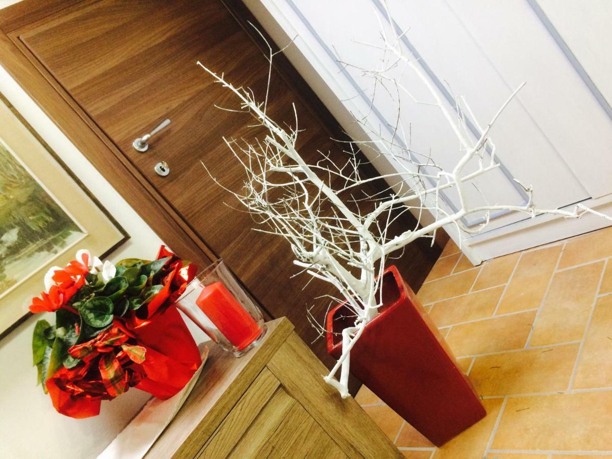 Mansarda Degli Ulivi Apartment Rigomagno ภายนอก รูปภาพ
