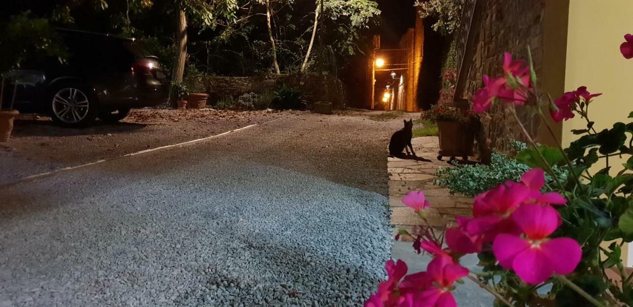 Mansarda Degli Ulivi Apartment Rigomagno ภายนอก รูปภาพ